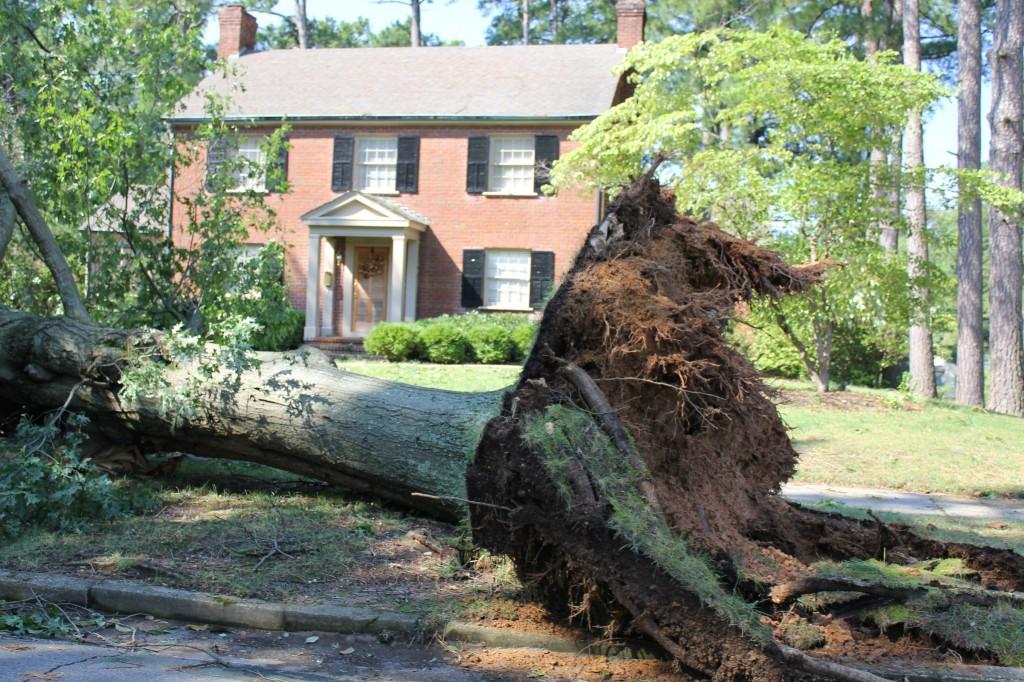 Hurricane Irene postpones school openings