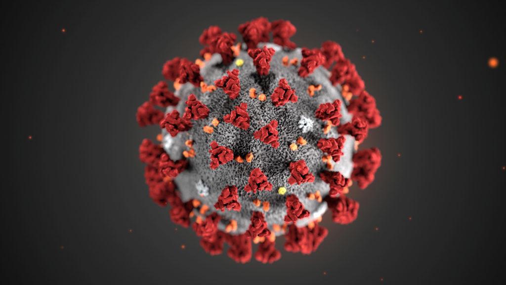 The ultrastructural morphology exhibited by the 2019 Novel Coronavirus (2019-nCoV), which was identified as the cause of an outbreak of respiratory illness first detected in Wuhan, China, is seen in an illustration released by the Centers for Disease Control and Prevention (CDC) in Atlanta, Georgia, U.S. January 29, 2020. Alissa Eckert, MS; Dan Higgins, MAM/CDC/Handout via REUTERS.